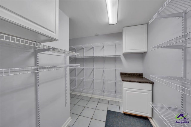 105 International Blvd, Warner Robins, GA 31088 - walk in closet featuring light tile patterned flooring