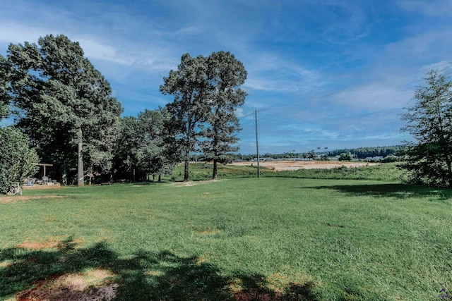 202 Stafford Beach Dr, Byron, GA 31008 - view of grassy yard