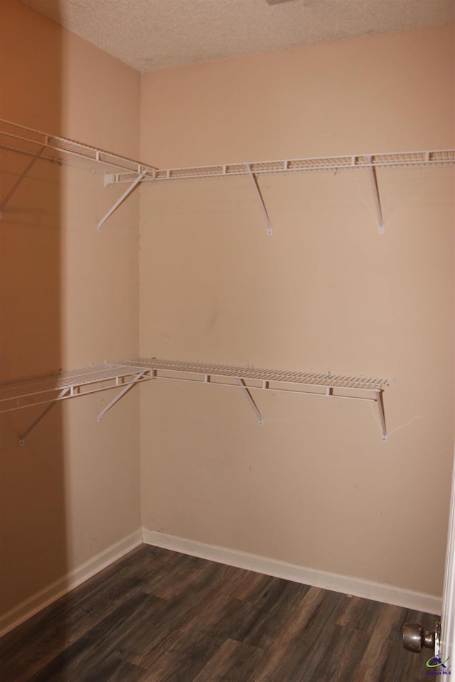 125 Buckskin Trl, Byron, GA 31008 - walk in closet featuring dark wood-style floors