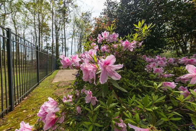 228 Lagrange Ct, Macon, GA 31210 - view of yard