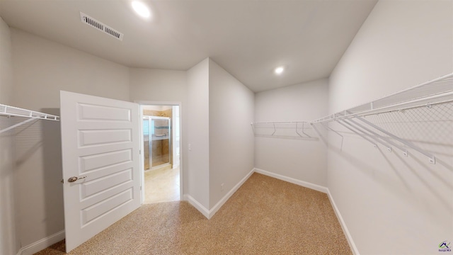 452 Southern Oaks Dr, Macon, GA 31216 - walk in closet with light colored carpet