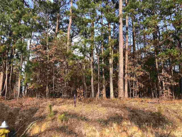 6841 Bethel Church Road, Lizella GA, 31052 land for sale