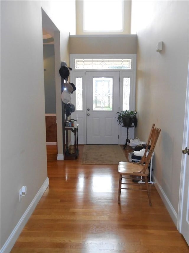 entrance foyer with light wood-type flooring