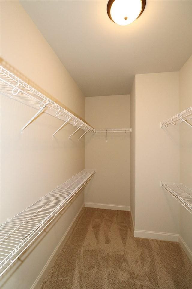 spacious closet with light colored carpet