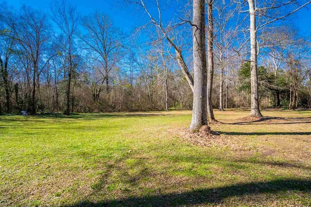 6515 Bevin Drive, Macon, GA 31216 - photo 26