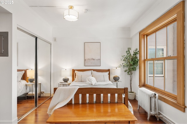 bedroom featuring radiator heating unit, wood finished floors, and a closet