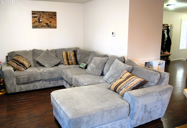 living area with wood finished floors