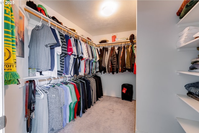 spacious closet featuring light colored carpet