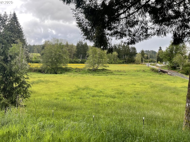 view of yard with a rural view