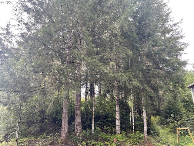 view of tree filled area