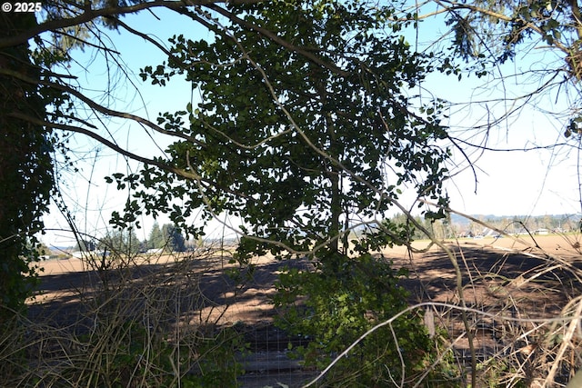 view of landscape featuring a rural view