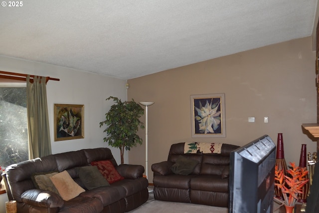 living room featuring a textured ceiling