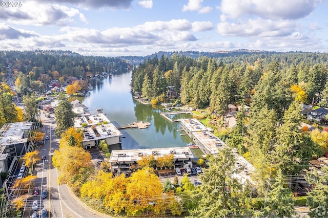 668 Mcvey Ave Unit 83, Lake Oswego, OR 97034 - bird's eye view of a large body of water and a forest