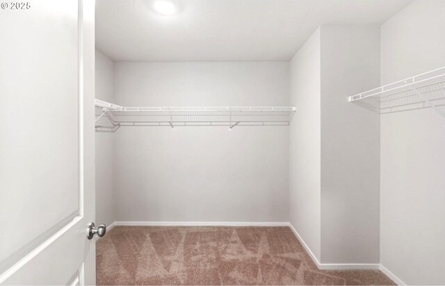 16156 NW Pristine Ln, Portland, OR 97229 - spacious closet with carpet