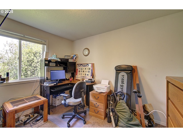 view of carpeted office