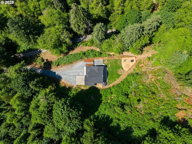 28009 NE Thompson Cir, Yacolt, WA 98675 - view from above of property
