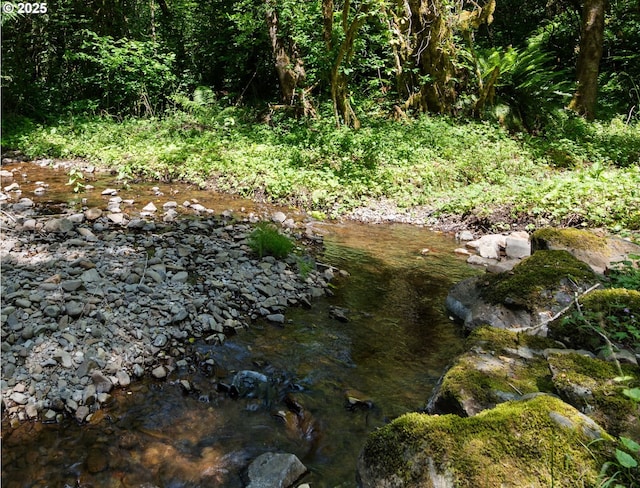 28009 NE Thompson Cir, Yacolt, WA 98675 - view of woods