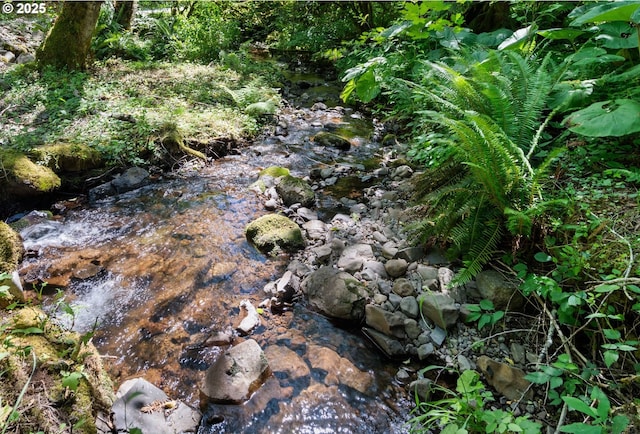 28009 NE Thompson Cir, Yacolt, WA 98675 - view of nature
