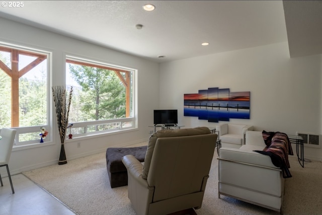 62482 Canyon Creek Ln, Canyon City, OR 97820 - living area featuring baseboards, recessed lighting, and carpet floors