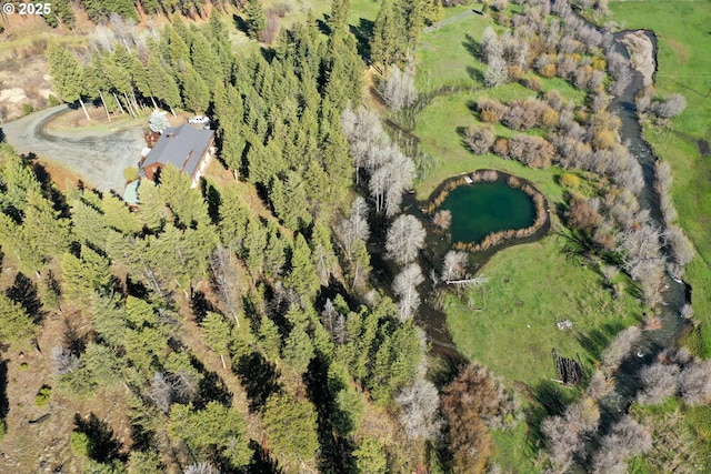 62482 Canyon Creek Ln, Canyon City, OR 97820 - aerial view