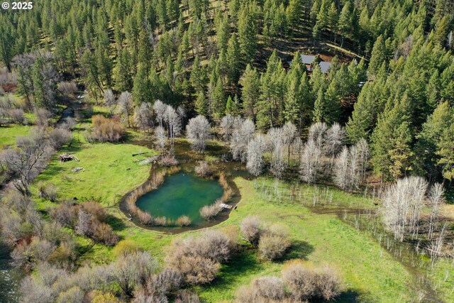 62482 Canyon Creek Ln, Canyon City, OR 97820 - bird's eye view of a heavily wooded area