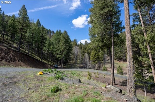 62482 Canyon Creek Ln, Canyon City, OR 97820 - view of wooded area