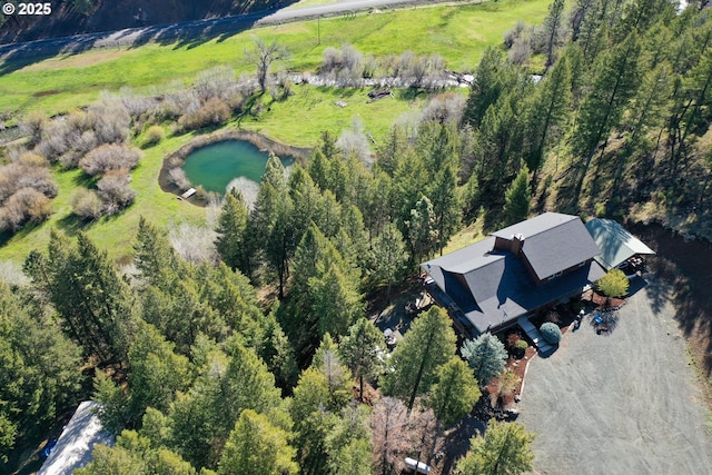 62482 Canyon Creek Ln, Canyon City, OR 97820 - aerial view of property's location featuring a large body of water