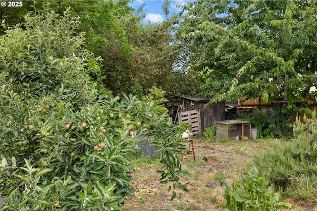 3712 NE 60th Ave, Vancouver, WA 98661 - view of yard