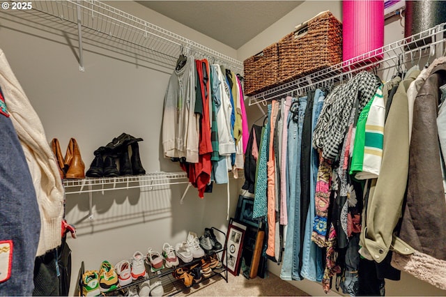 walk in closet featuring carpet floors