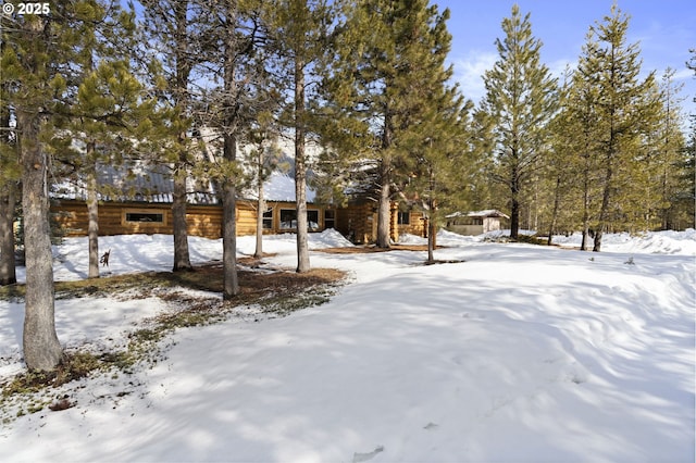 view of yard layered in snow