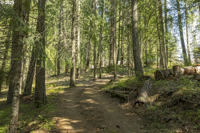 view of tree filled area