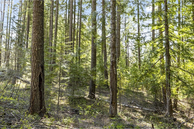 view of tree filled area