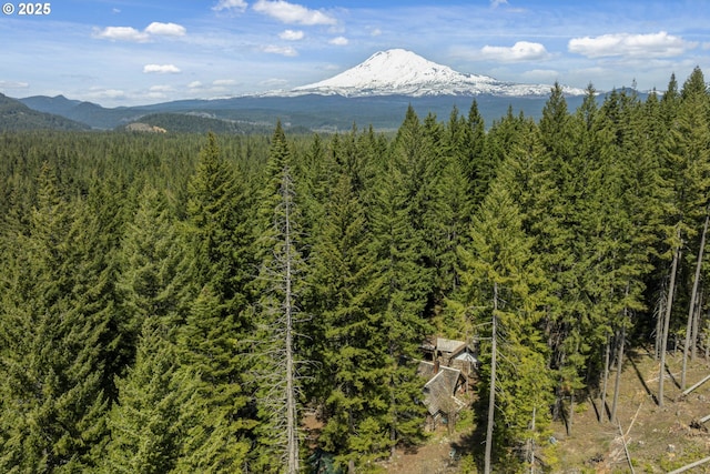view of mountain background featuring a heavily wooded area