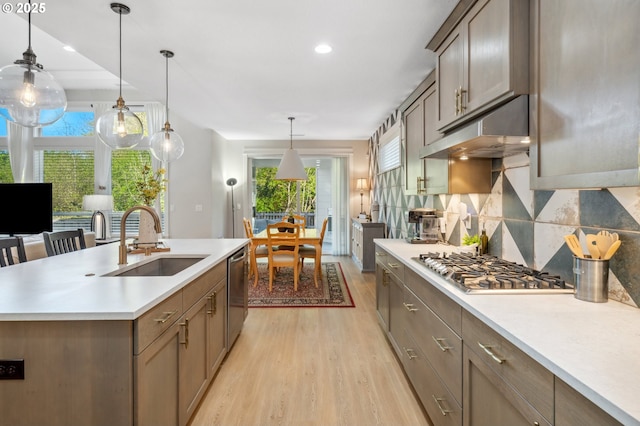 kitchen featuring under cabinet range hood, a sink, light wood-type flooring, tasteful backsplash, and appliances with stainless steel finishes