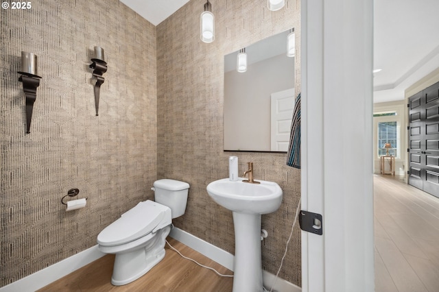 bathroom featuring toilet, wood finished floors, and a sink