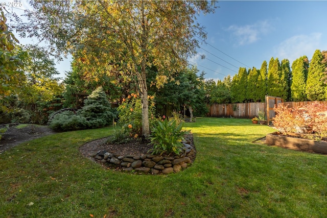 view of yard with fence