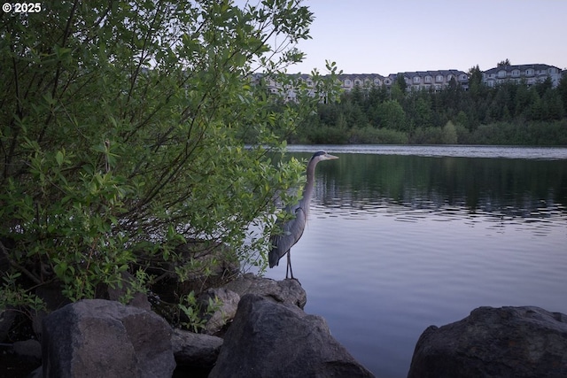 water view