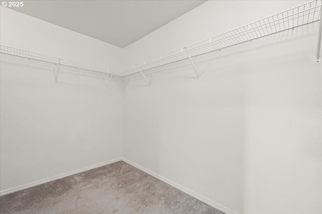 11716 NE 42nd Ct, Vancouver, WA 98686 - spacious closet with carpet