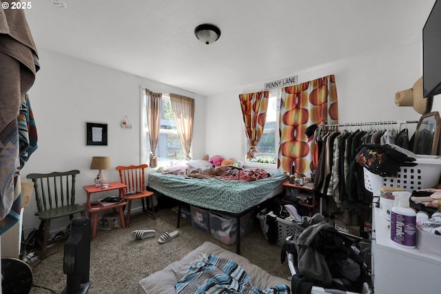 bedroom with carpet