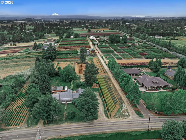 7008 SE 302nd Ave, Gresham, OR 97080 - aerial view of sparsely populated area with rows of crops