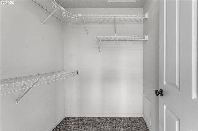 9183 NW Germantown Rd, Portland, OR 97231 - spacious closet with carpet floors