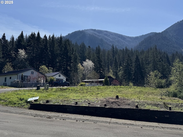 903 SW Spelling Pl Unit 21, Cascade Locks, OR 97014