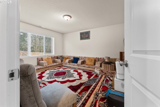 living room with a textured ceiling