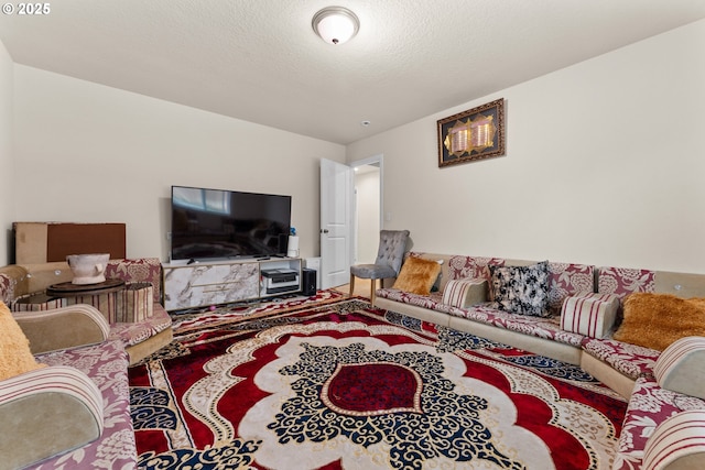 living room featuring a textured ceiling