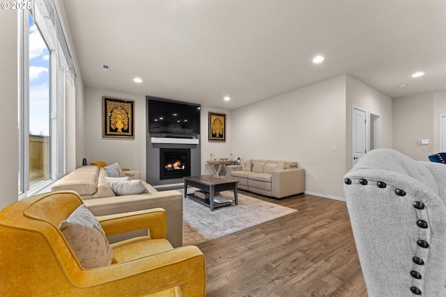 living room featuring wood-type flooring