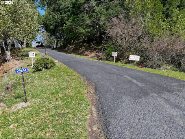 29844 Hound Dog Rd, Gold Beach, OR 97444 - view of road