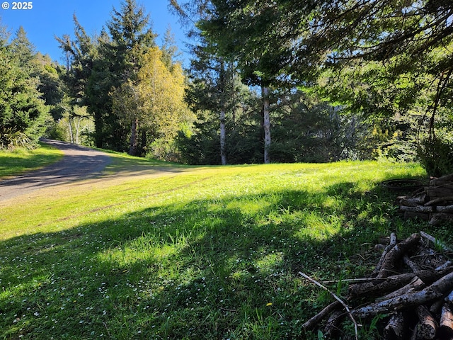 94342 Gauntlett St, Gold Beach, OR 97444 - view of grassy yard