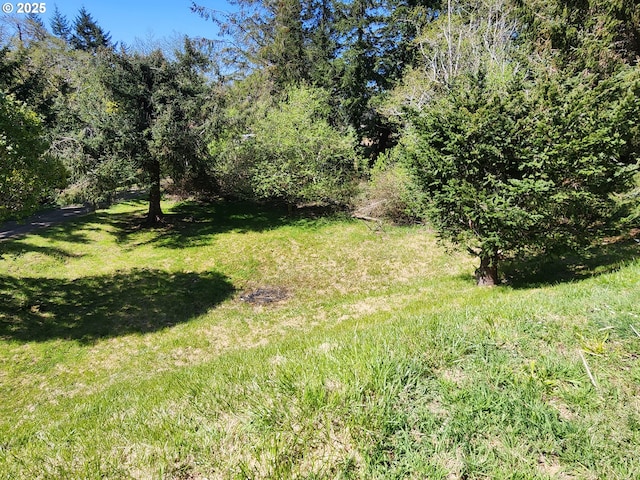 94342 Gauntlett St, Gold Beach, OR 97444 - view of green lawn