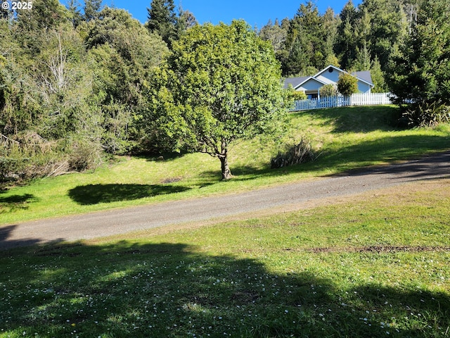 94342 Gauntlett St, Gold Beach, OR 97444 - view of yard with a forest view