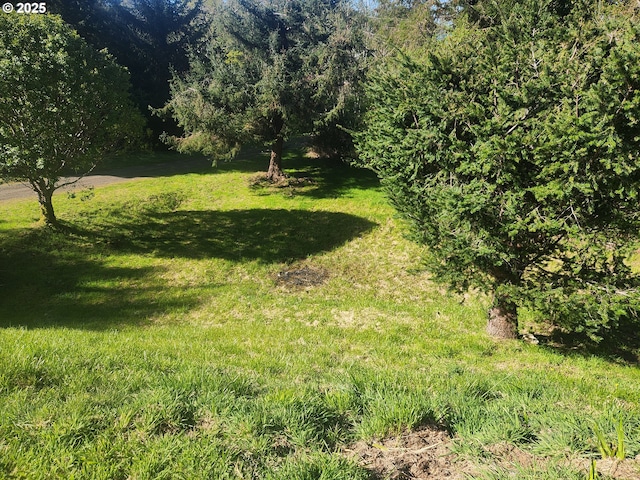 94342 Gauntlett St, Gold Beach, OR 97444 - view of green lawn